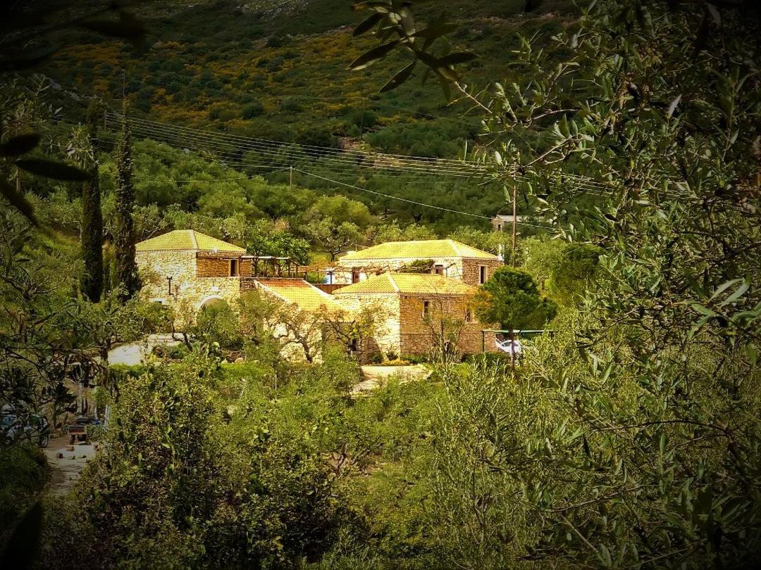 Tsivouli Accommodation Lithakiá Kültér fotó