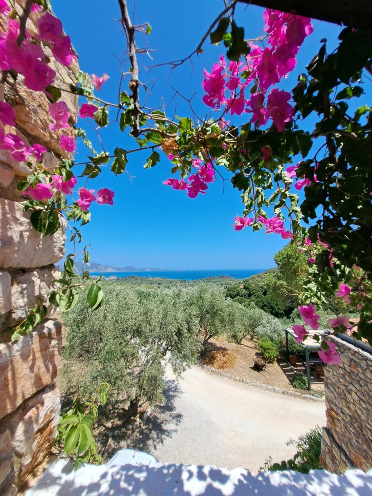 Tsivouli Accommodation Lithakiá Kültér fotó